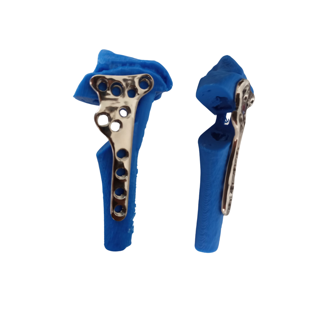 Diseño sin título (2)